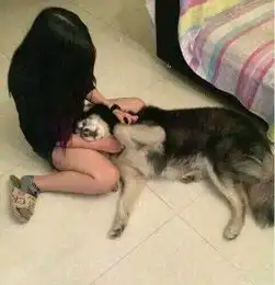 搞笑精选妹子为了拍出漂亮的照片,都不惜跳水了
