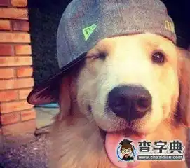 我是dj搞笑图片
