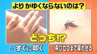 因为你不洗脚,所以才招蚊子...
