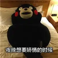 熊本熊表情包之长胖的原因熊本熊卖萌搞笑表情腾牛个性网
