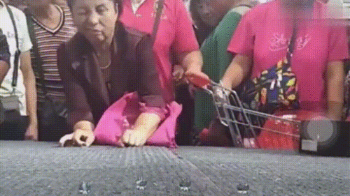 gif搞笑趣图你当年是怎么追到我妈的
