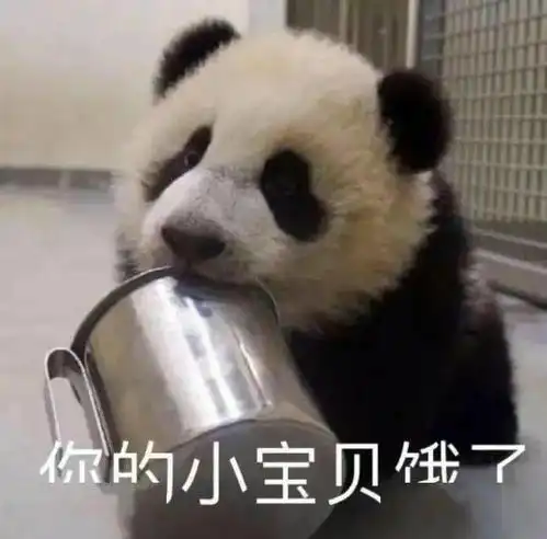 每晚分享沙雕表情包
