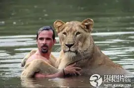 有什么搞笑的图片
