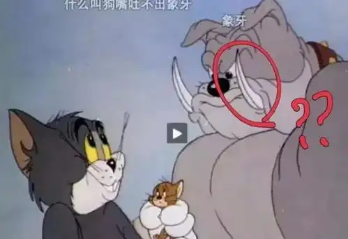 搞笑图片一直觉得弹幕才是我欢乐的源泉
