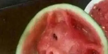 王宝强晒猪头西瓜照问小沈阳这是你吗
