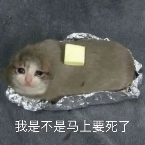 手机砸脸上是一种什么体验
