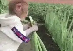 妹子,车上还有很多空位,直接坐在大爷腿上影响不好吧
