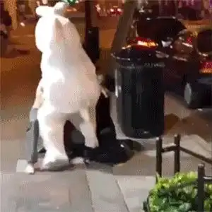 如何看待火影从努力改变命运论变成血统论,又从血统论变成宿命论
