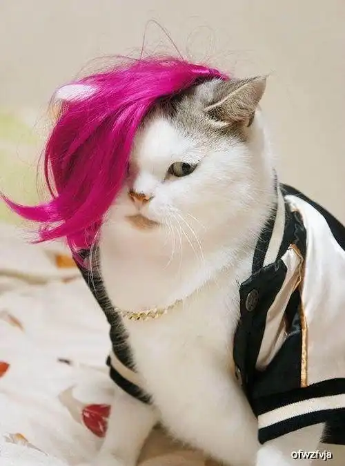 搞笑图片幽默段子笑话长得丑也不要用衣服遮住啊

