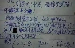 小学生搞笑情书,等我长大后,我就嫁给你老师你家长在来的路上了
