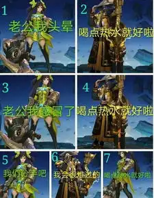 王者荣耀之神级字幕君,不行了,我笑死了
