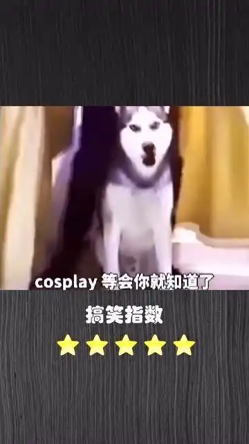 爆笑恶搞二哈最傻的cosplay,看一遍笑一遍
