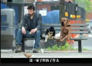 搞笑gif趣图妹子的新表白方式,学会了吗

