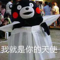 微信情侣头像熊本熊一对微信头像图片大全

