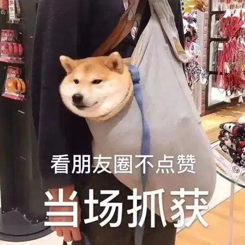 背景图你别皱眉了,我走就是了
