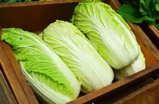 除了甜咸粽子,南北方还有哪些爆笑差异
