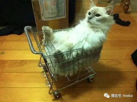 糗事老板搞笑经典冷笑话,今天我问老板我上个月也没迟到早退
