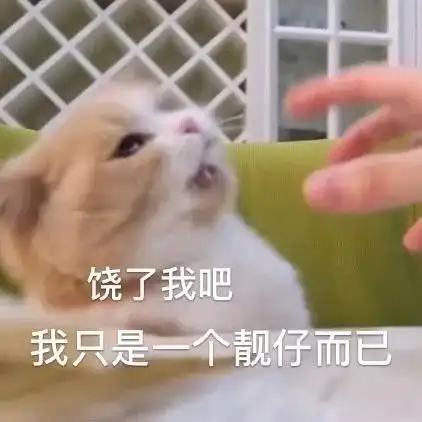 可爱猫猫头像我要3个对象,不过分吧

