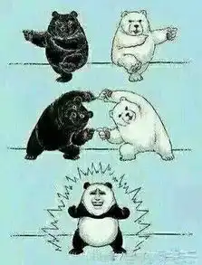 工作学习升级都不误优秀回合制手游大盘点
