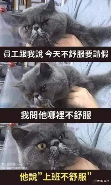 微信新表情,撞脸了苏有朋
