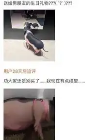 搞笑趣图2018年最新奇葩买家秀,绝对让你笑到喷饭
