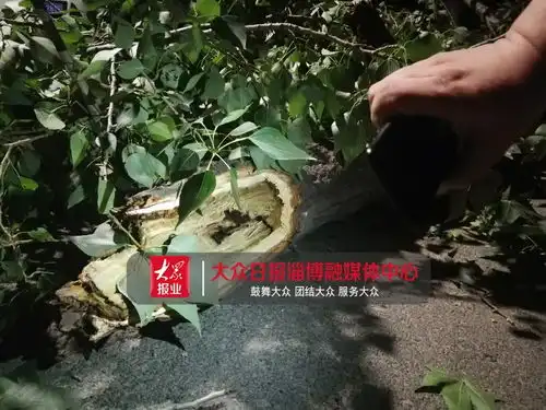 中午12点半,淄博一小区突发
