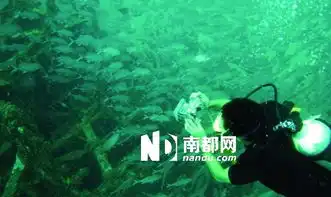 海底游玩潜规则
