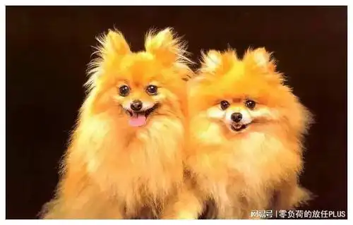搞笑段子爸爸你在签名时要认真点
