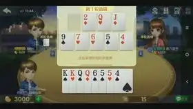 斗地主自选牌模式,连队不要对2不要4个j不要,那我就要春天了
