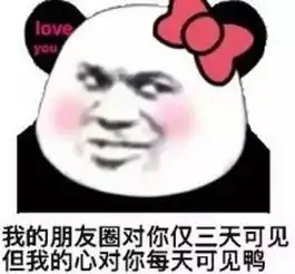 怼人专用表情包,我看你是脑袋进大米粥了
