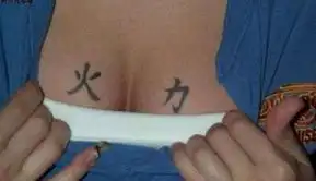 新闻频道
