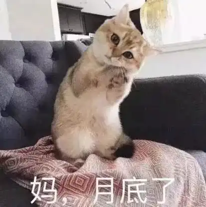 双十一花式哭穷大法就指着它了
