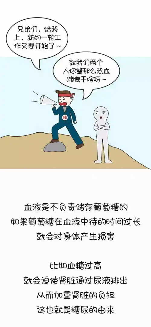 终于搞懂了,糖尿病原来是这么回事
