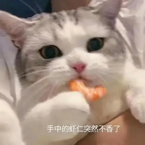 沙雕搞笑可爱头像表情包
