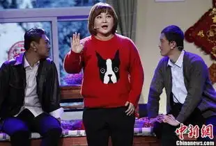 贾玲退出央视春晚,引发网友各种猜测
