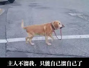 搞笑精彩的搞笑图片每日一笑第十二期
