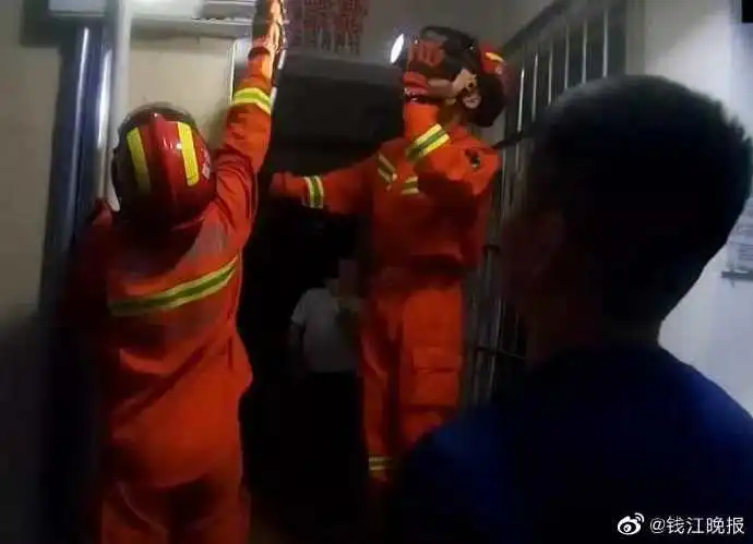 杭州一业主晚饭后散步,抬头一看1米长大蛇

