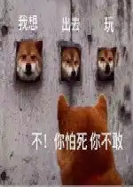我想出去玩不你怕死你不敢图片好玩吗我想出去玩不你怕死你不敢图片怎么玩用户评论

