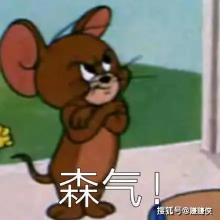 搞笑表情包图片森气,微信聊天天天见
