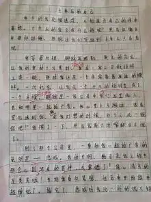 现在的中学生写作文都这个套路吗
