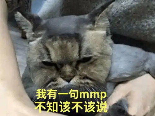 中国人被迫宅家理发大赏给自己剪还不够,宠物都不放过
