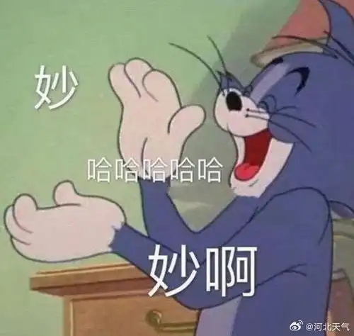 丫丫冰块凉席安排上了
