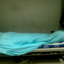 求牛人一秒叠被子动态图片
