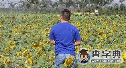 菊部有点大搞笑图片
