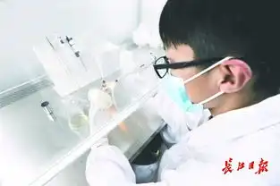 武汉用创新创造打开城市未来
