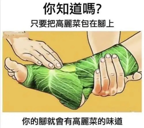 搞笑趣图当我花费两小时背了五十个单词,20分钟后我的大脑
