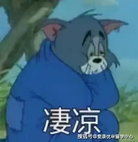 听说留学生都是单身狗你们单身的原因找到了
