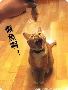 好可爱的猫猫大嘴图
