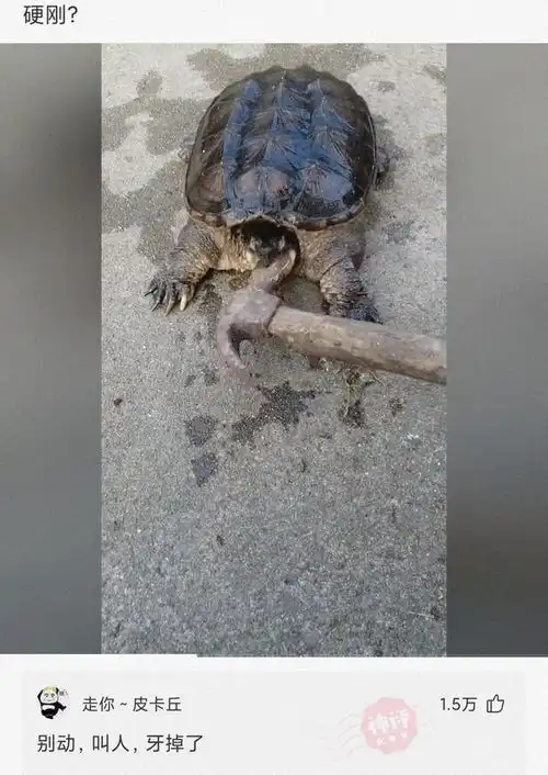 搞笑趣图温柔妈妈的带娃日常
