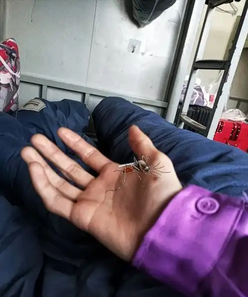 搞笑图片ps恶搞十张趣图,搞笑开心一刻哦
